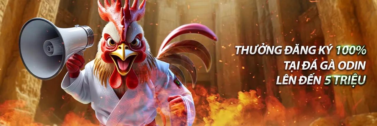 Tin tức SHBET, các chương trình khuyến mãi SHBET mới nhất 2026